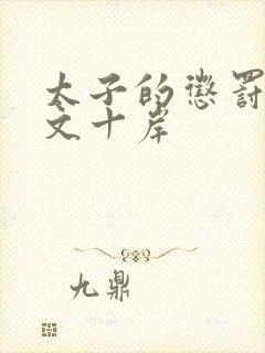 太子的惩罚训诫文十岸