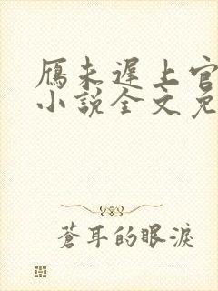 雁未迟上官穿越小说全文免费阅读