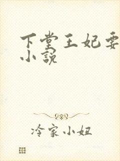 下堂王妃要逆袭小说