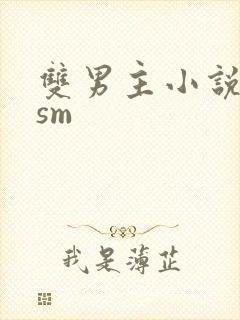 双男主小说调教sm封面