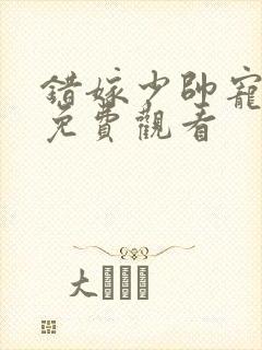 错嫁少帅宠上瘾免费观看封面