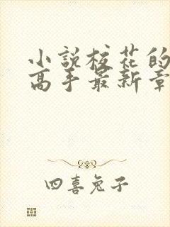 小说校花的贴身高手最新章节列表最