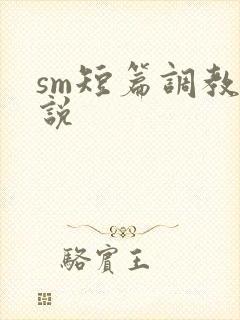 sm短篇调教小说封面