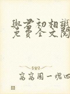 与君初相识小说免费全文阅读封面