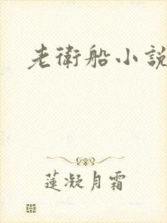 老卫船小说全集