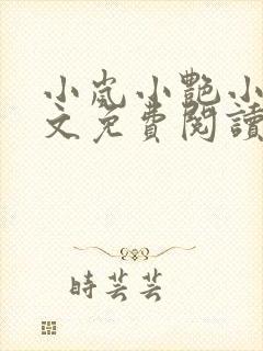 小岚小艳小说全文免费阅读最新章节