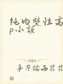 纯肉双性高hnp小说