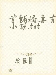 首辅娇妻有空间小说.txt