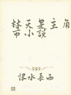 林天是主角的都市小说