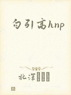 勾引高hnp