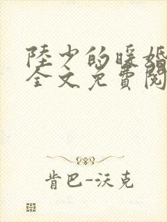 陆少的暖婚新妻全文免费阅读全文