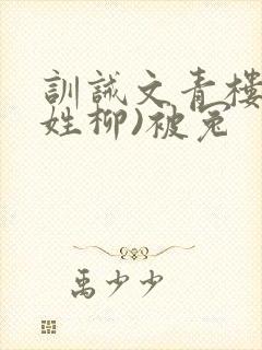 训诫文青楼女(姓柳)被冤封面