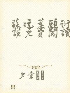 苏晚叶顾衍之小说免费阅读最新章节