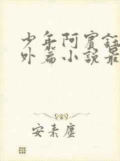 少年阿宾钰慧番外篇小说最新章节列封面