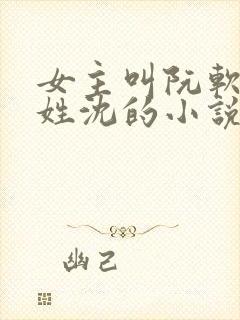 女主叫阮软男主姓沈的小说