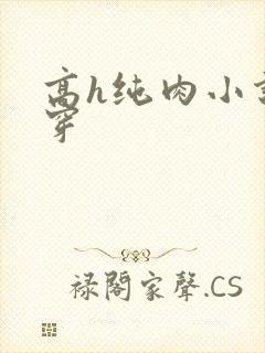 高h纯肉小说快穿