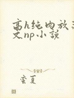 高h纯肉放荡h文np小说