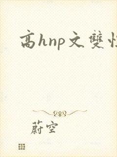 高hnp文双性