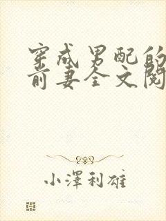 穿成男配的炮灰前妻全文阅读封面