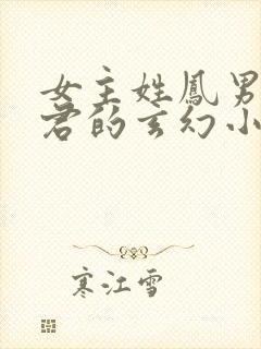 女主姓凤男主姓君的玄幻小说封面