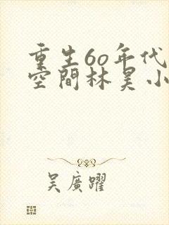 重生6o年代带空间林昊小说