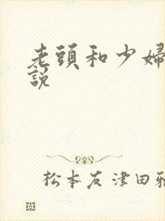 老头和少妇的小说