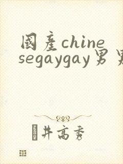 国产chinesegaygay男男网站封面