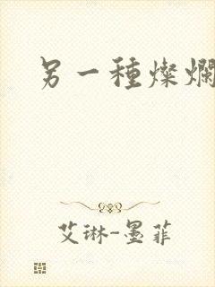 另一种灿烂生活