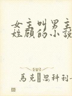 女主叫男主叔叔姓顾的小说