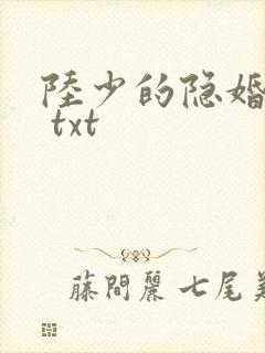 陆少的隐婚罪妻 txt