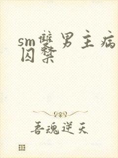 sm双男主病娇囚禁封面