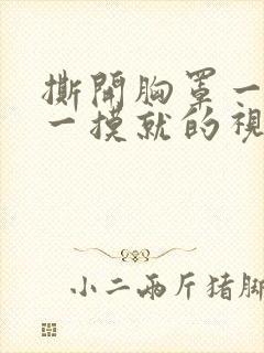 撕开胸罩一边亲一摸就的视频