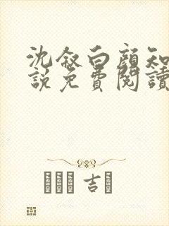 沈叙白颜知寒小说免费阅读最新章节