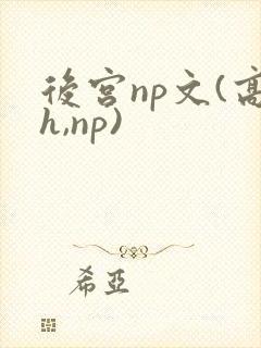 后宫np文(高h,np)封面