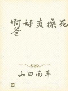 啊好爽操死我爸爸