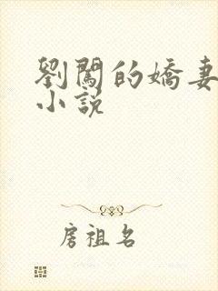 刘闯的娇妻日记小说