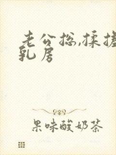 老公总,揉搓我乳房封面