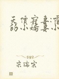 天价宠妻:霍总的小娇妻小说