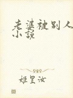 老婆被别人操的小说