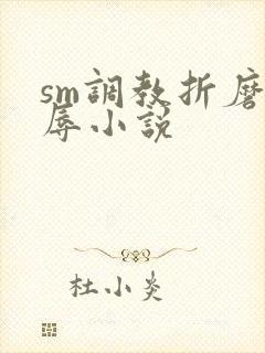 sm调教折磨羞辱小说