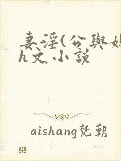 妻淫(公与媳7h文小说封面