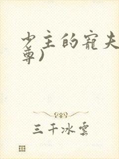 少主的宠夫(女尊)