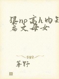 狠np高h肉短篇文母女封面