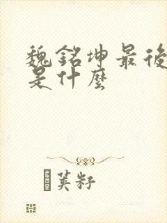 魏铭坤最后结局是什么