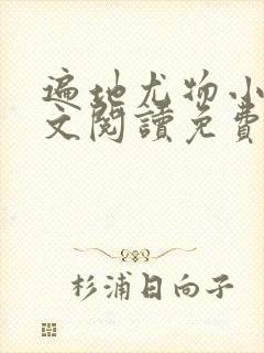 遍地尤物小说全文阅读免费阅读封面