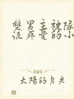 双男主被队友轮流疼爱的小说笔趣阁