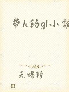 带h的gl小说封面
