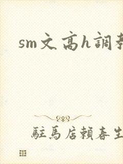 sm文高h调教
