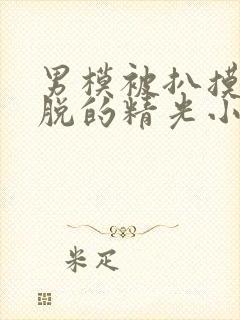 男模被扒摸jj脱的精光小说