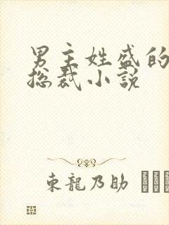 男主姓盛的霸道总裁小说封面